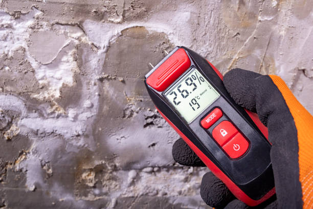 Best Mold Testing  in Random Lake, WI