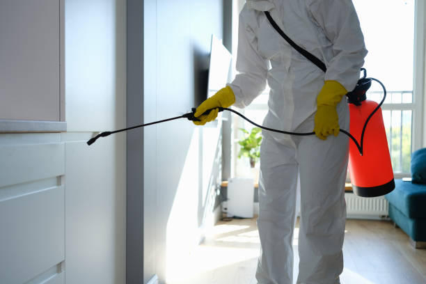 Best Black Mold Removal  in Random Lake, WI