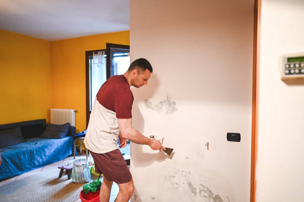 Best Home Mold Removal  in Random Lake, WI