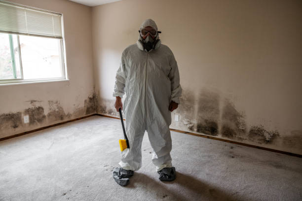 Best Mold Cleaning Services  in Random Lake, WI
